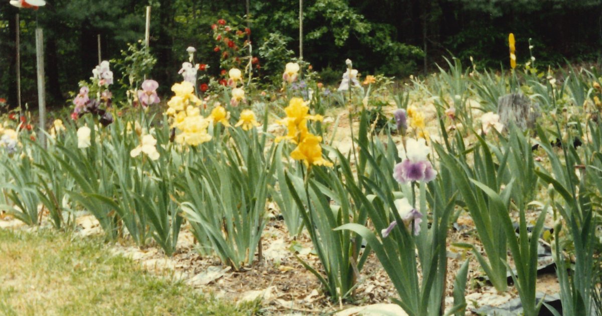 Ira Clontz Absher Obituary 2025 Sossoman Funeral Home