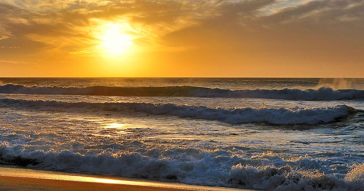 Rita Carol McCoy Send Flowers Sossoman Funeral Home