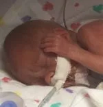 Lily Ann Hollifield