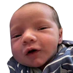 Harrison Lee Sebastino